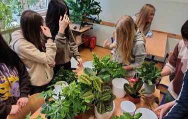 IMG_20251218_115709051_HDR