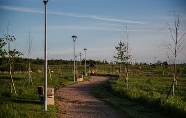 Park brzozowy 