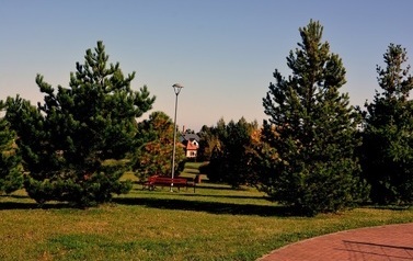 Park Lipowy 