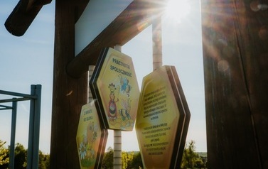 Tablica edukacyjna w Parku Lipowym 