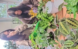 IMG_20251218_120503614_HDR