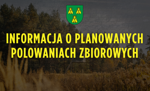Zdjęcie do Informacja o planowanych polowaniach zbiorowych