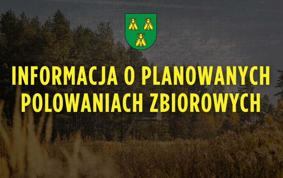 Polowania zbiorowe w obwodzie łowieckim nr 137